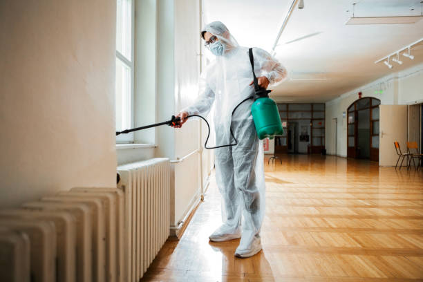 Professional Pest control in Holley, NY